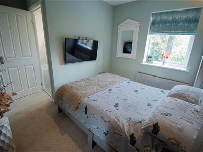 Picture 13